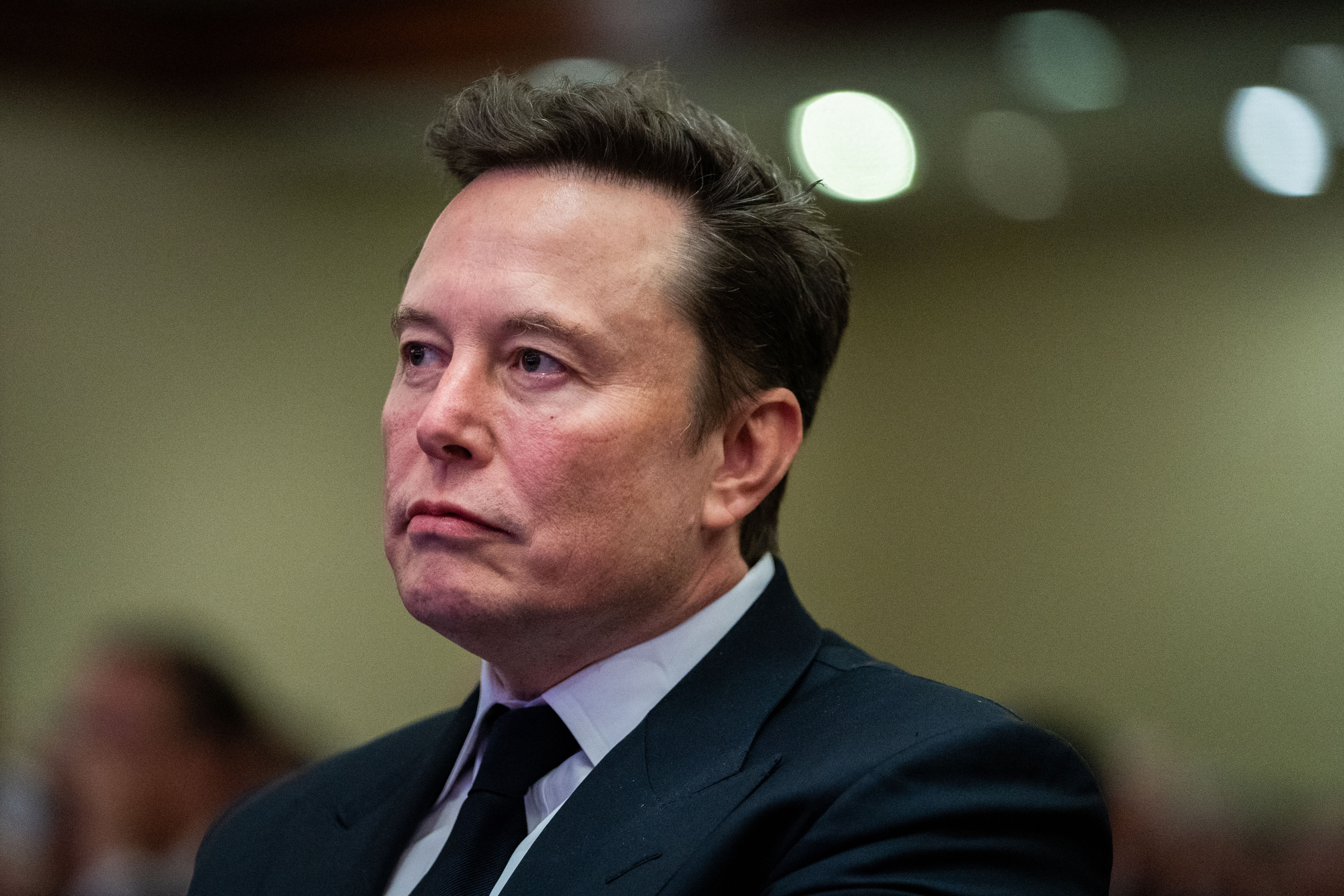 Meta Questions Musk's Political Role