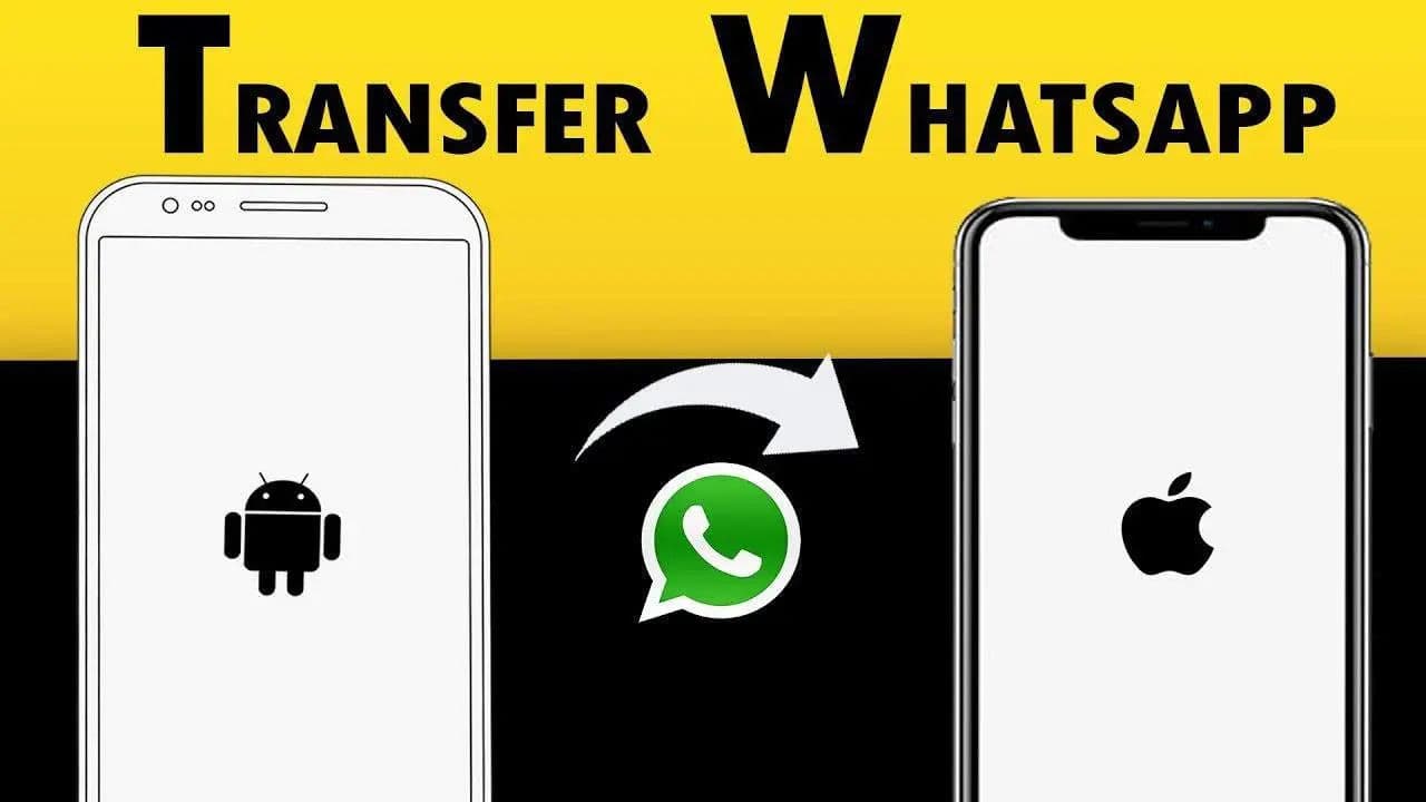 WhatsApp Data Transfer: Android to iPhone