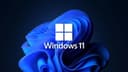 Windows 11 FAQ: Understanding Performance Issues